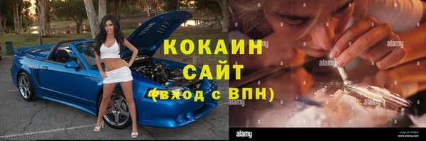 гашик Инсар