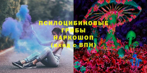 метадон Инта