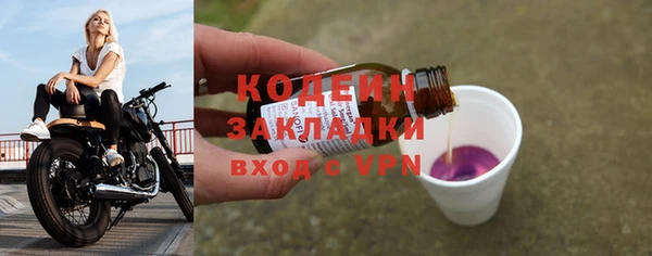 метадон Инта