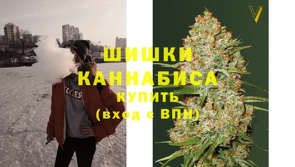 метадон Инта