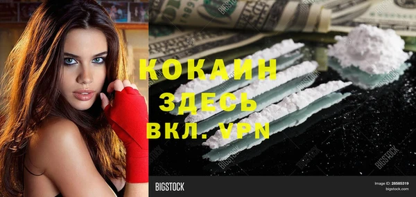 гашик Инсар