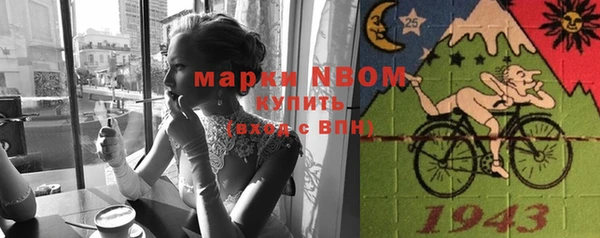 гашик Инсар