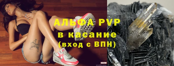 гашик Инсар